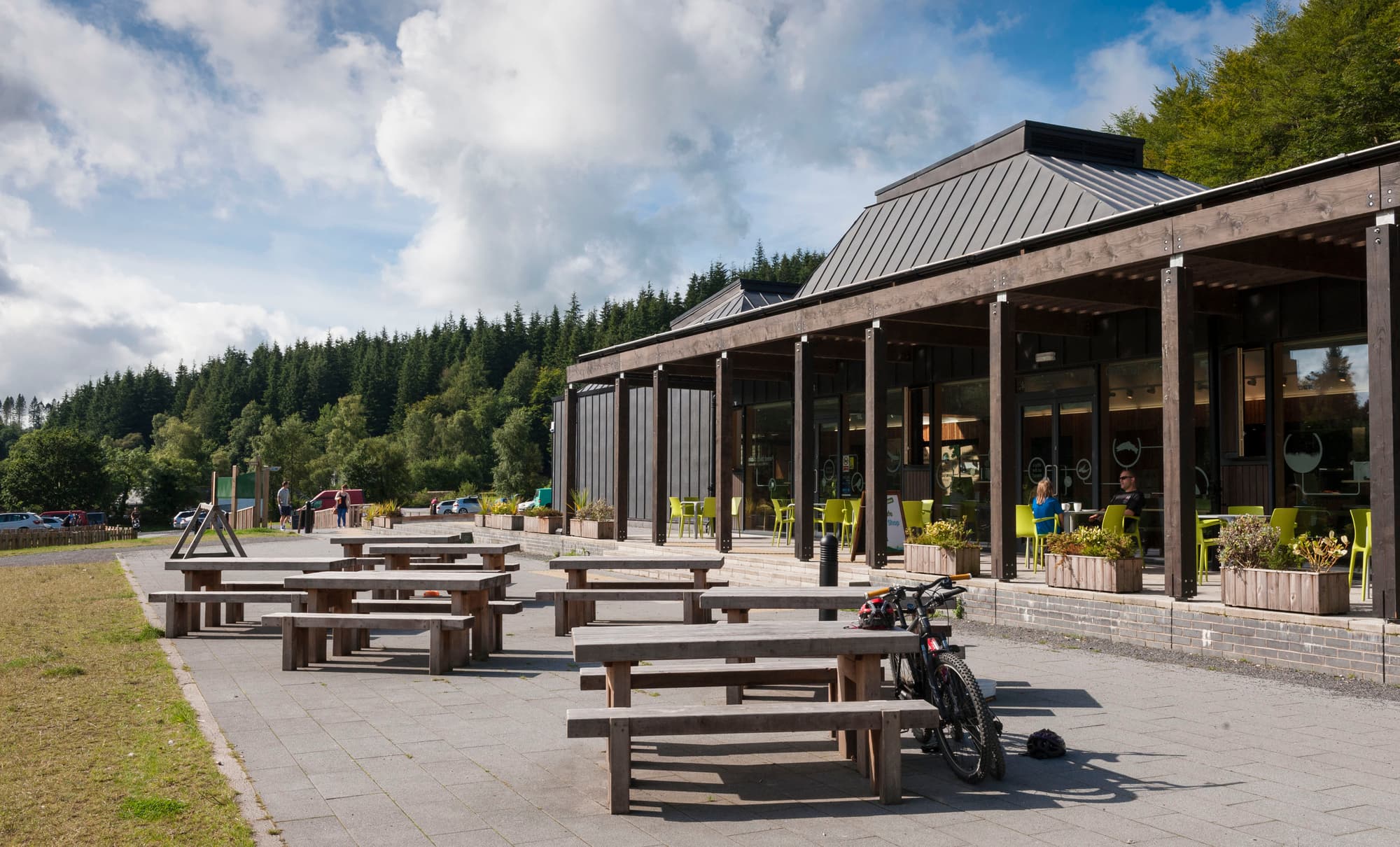 Kirroughtree Forest - Image 2