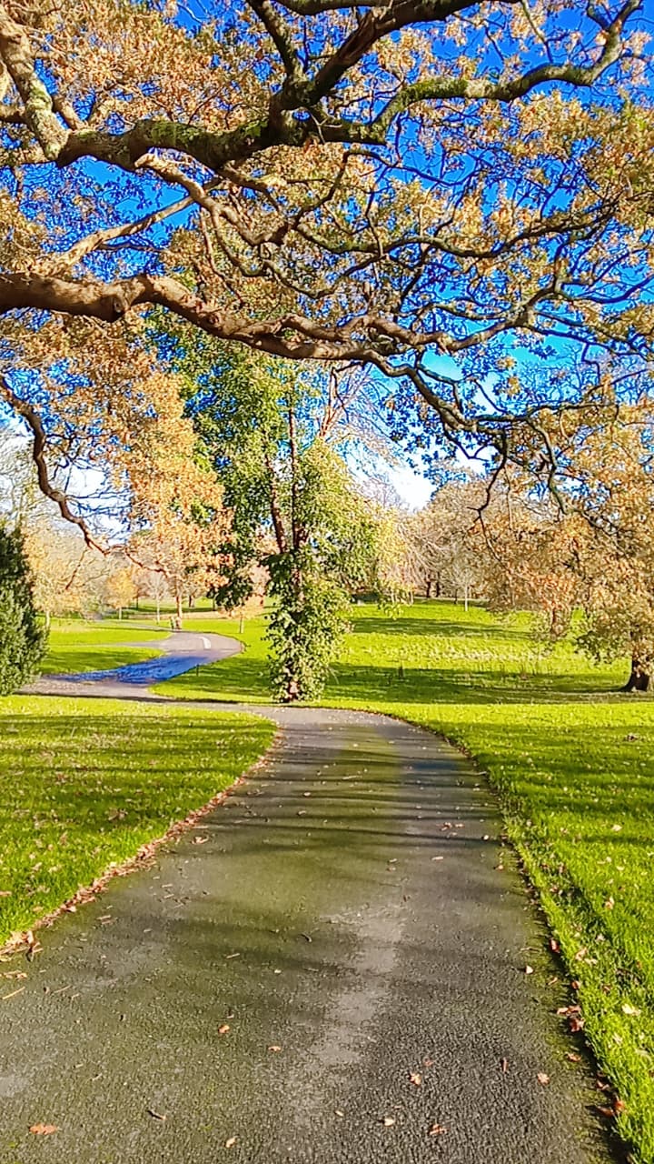 Parc Singleton Park - Main view