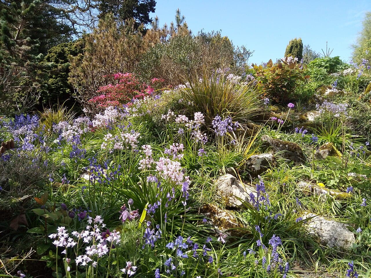 Parc Singleton Park - Image 2