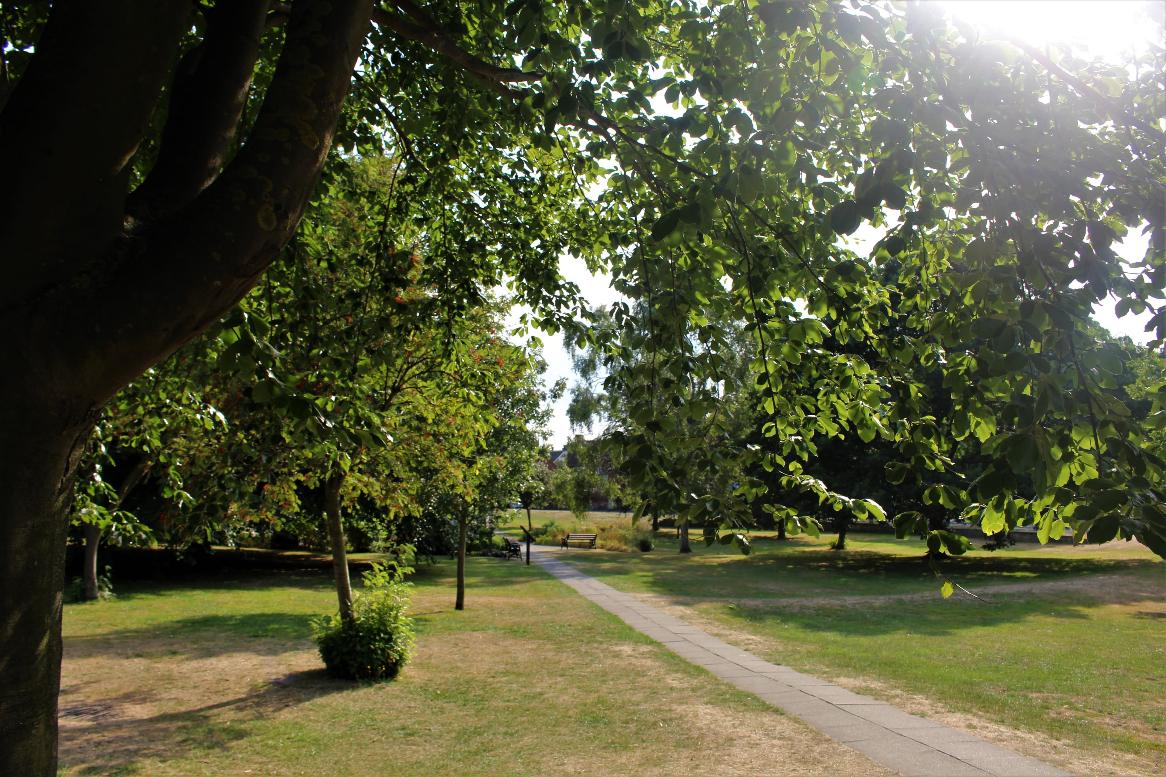 Wyndham Park - Image 2
