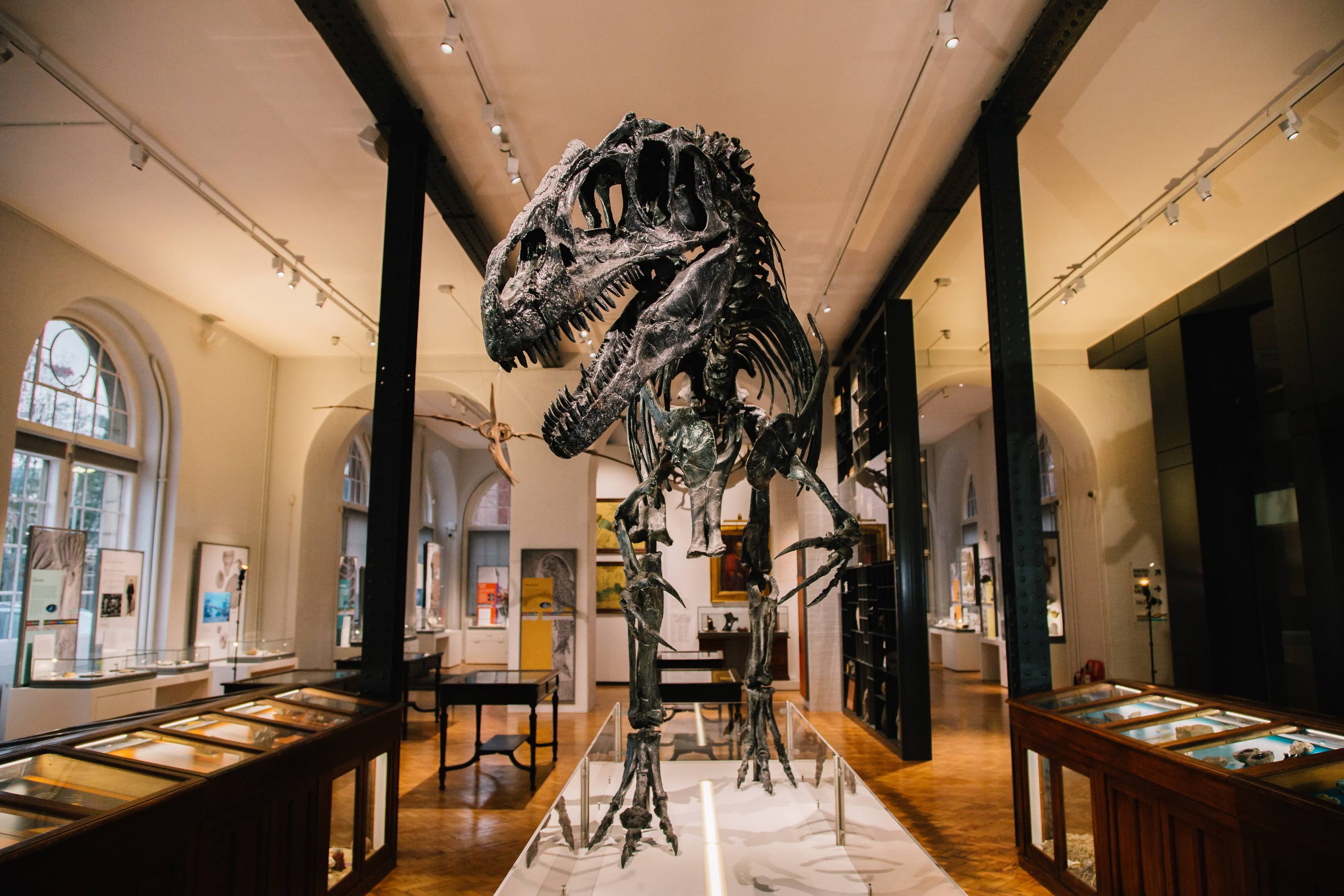 Lapworth Museum of Geology - Main view