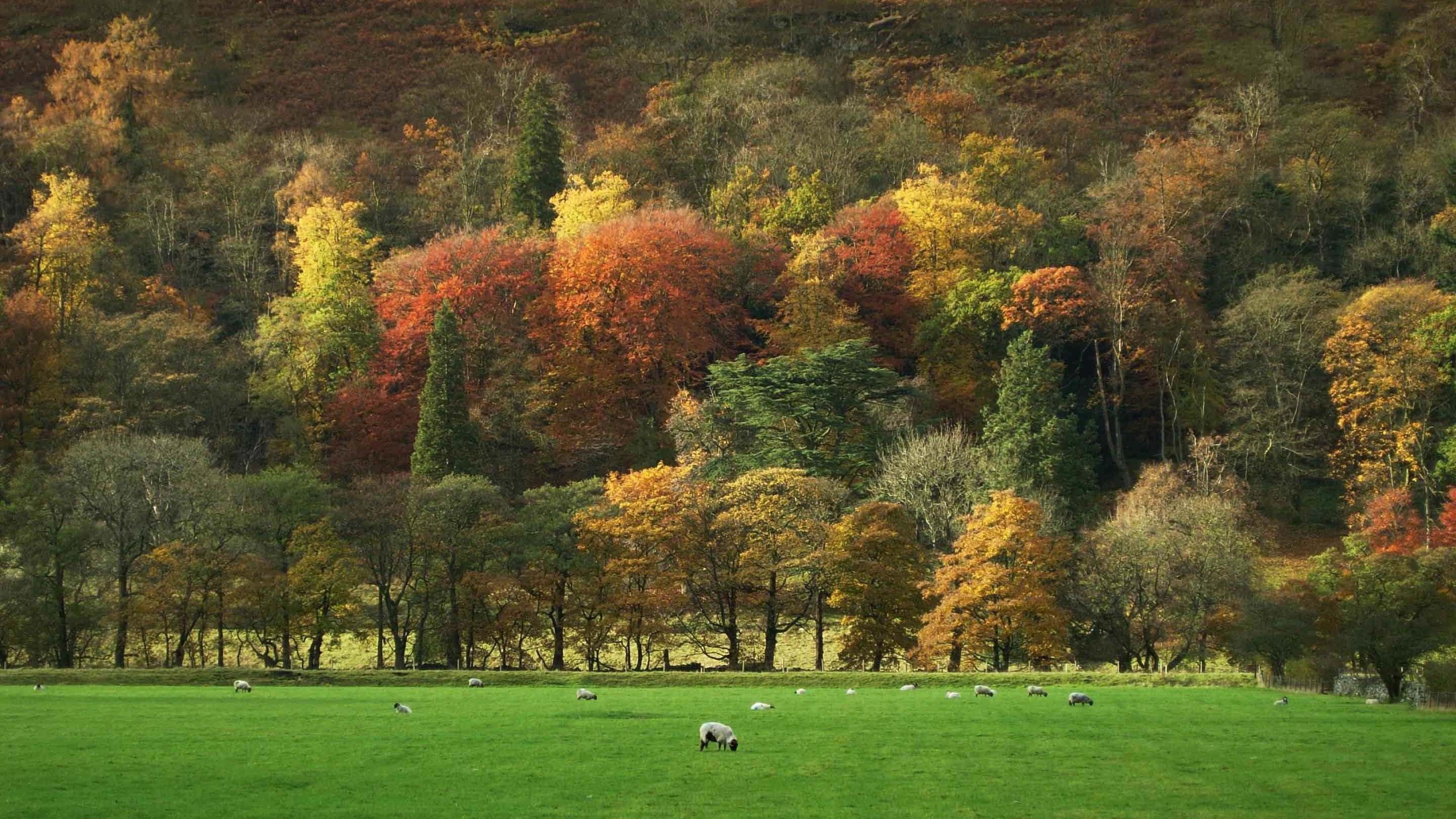 National Trust - Malham Tarn Estate - Main view