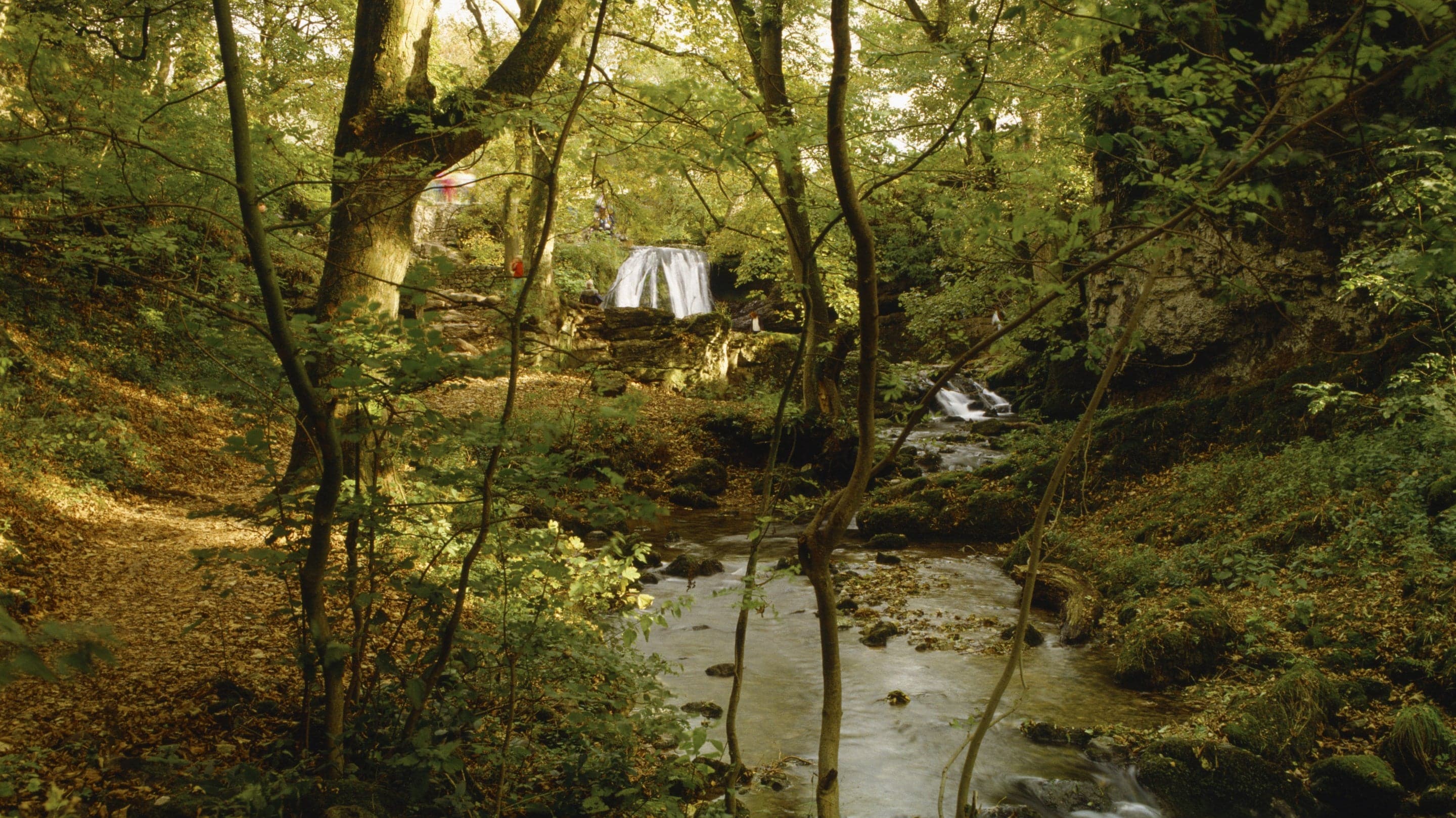 National Trust - Malham Tarn Estate - Image 2