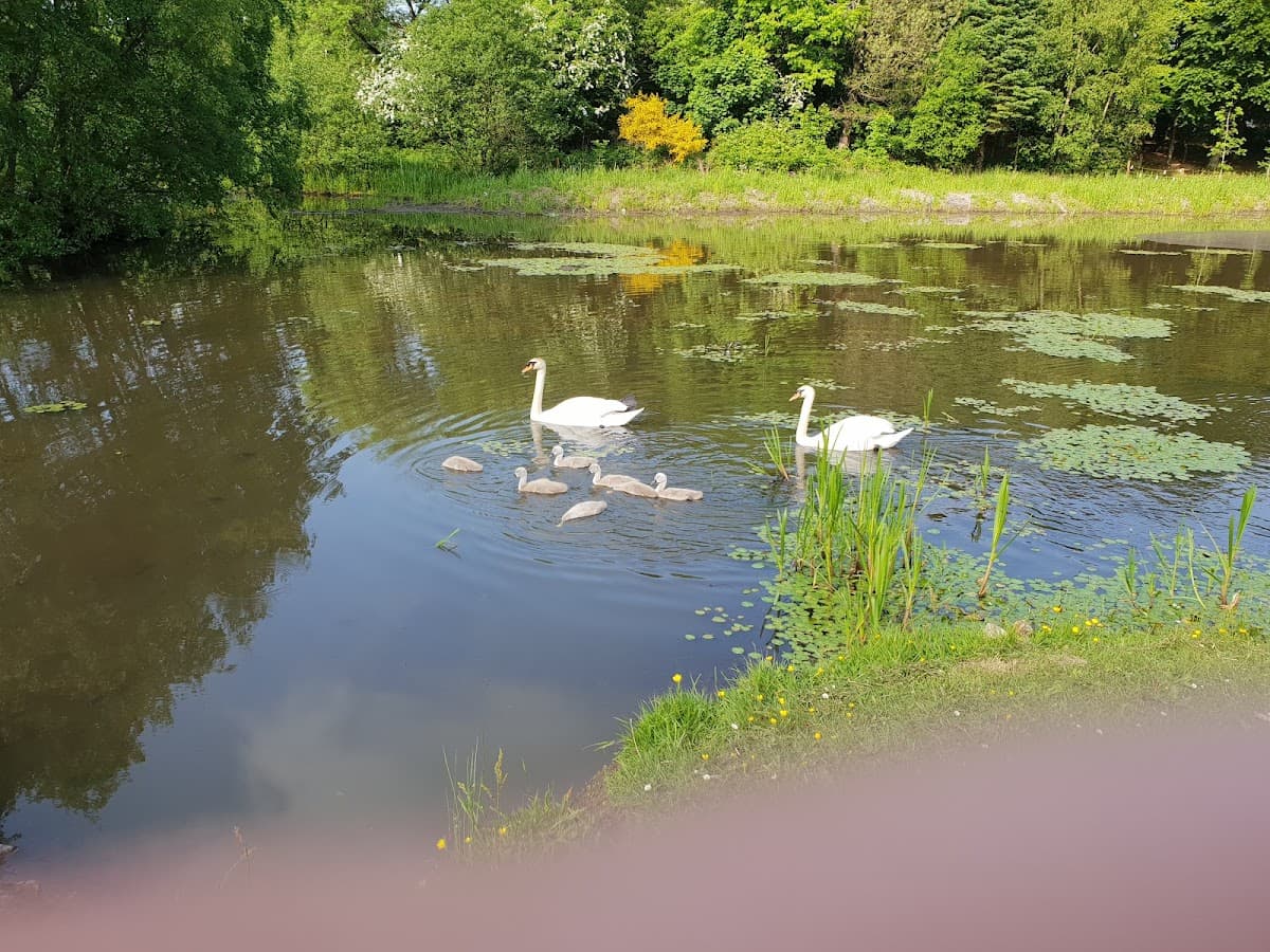Springburn Park - Image 5