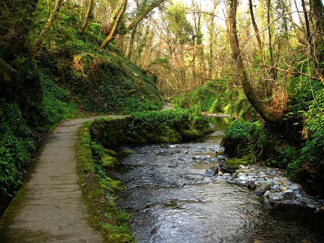 Glen Maye Waterfall - Image 2