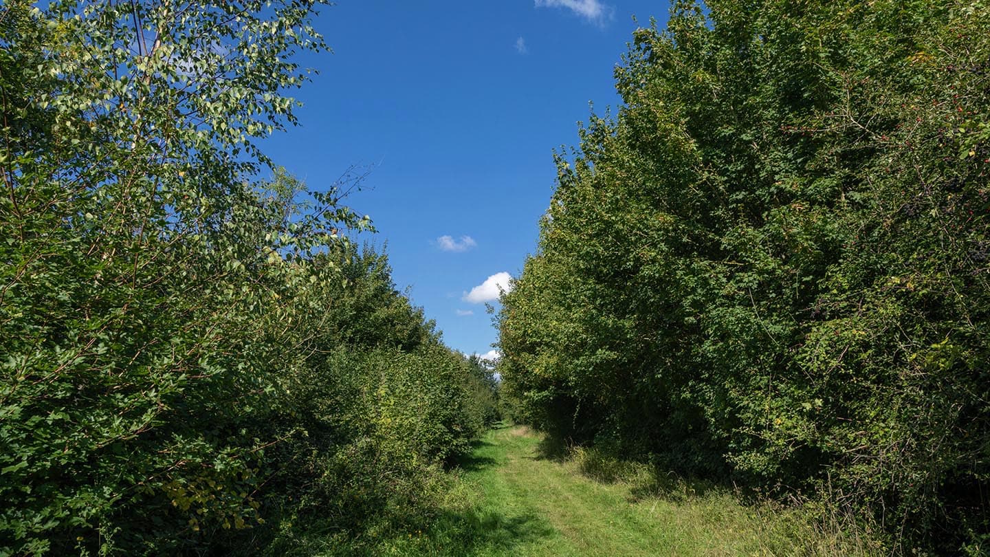 Pound Farm - Image 4