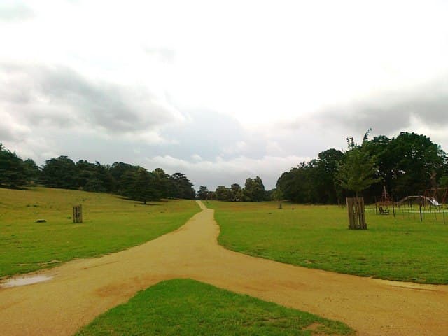 Petersham Gate Playground - Image 1
