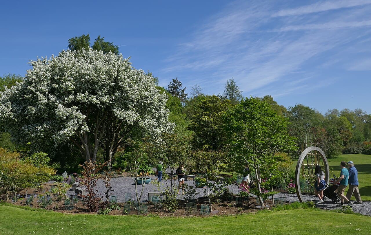 Botanic Garden - Image 2