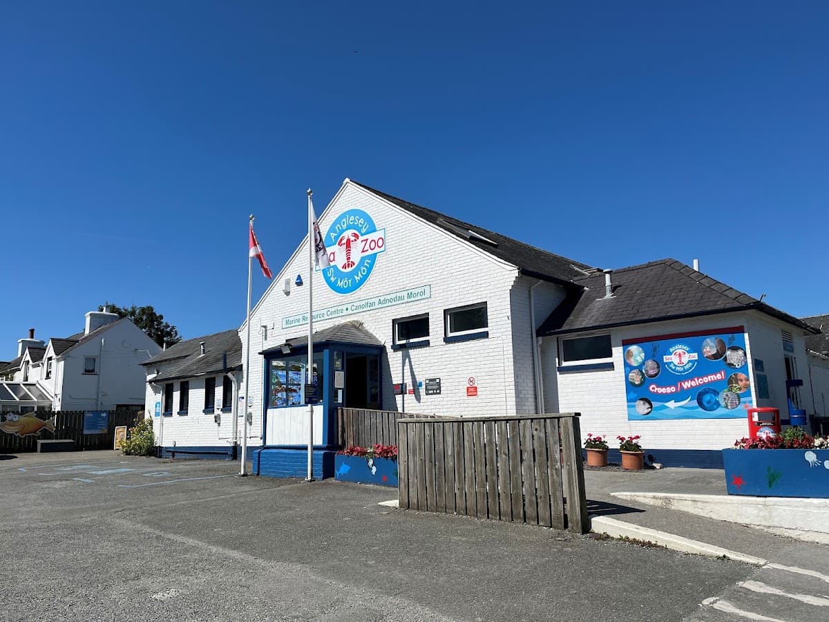 Anglesey Sea Zoo and Marine Resource Centre - Image 4