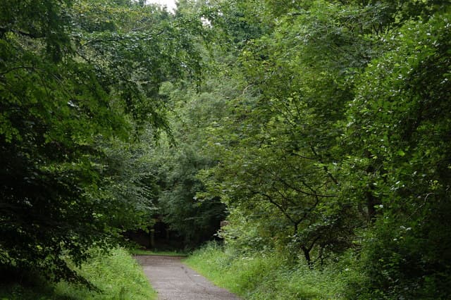 Cairn Wood - Image 2