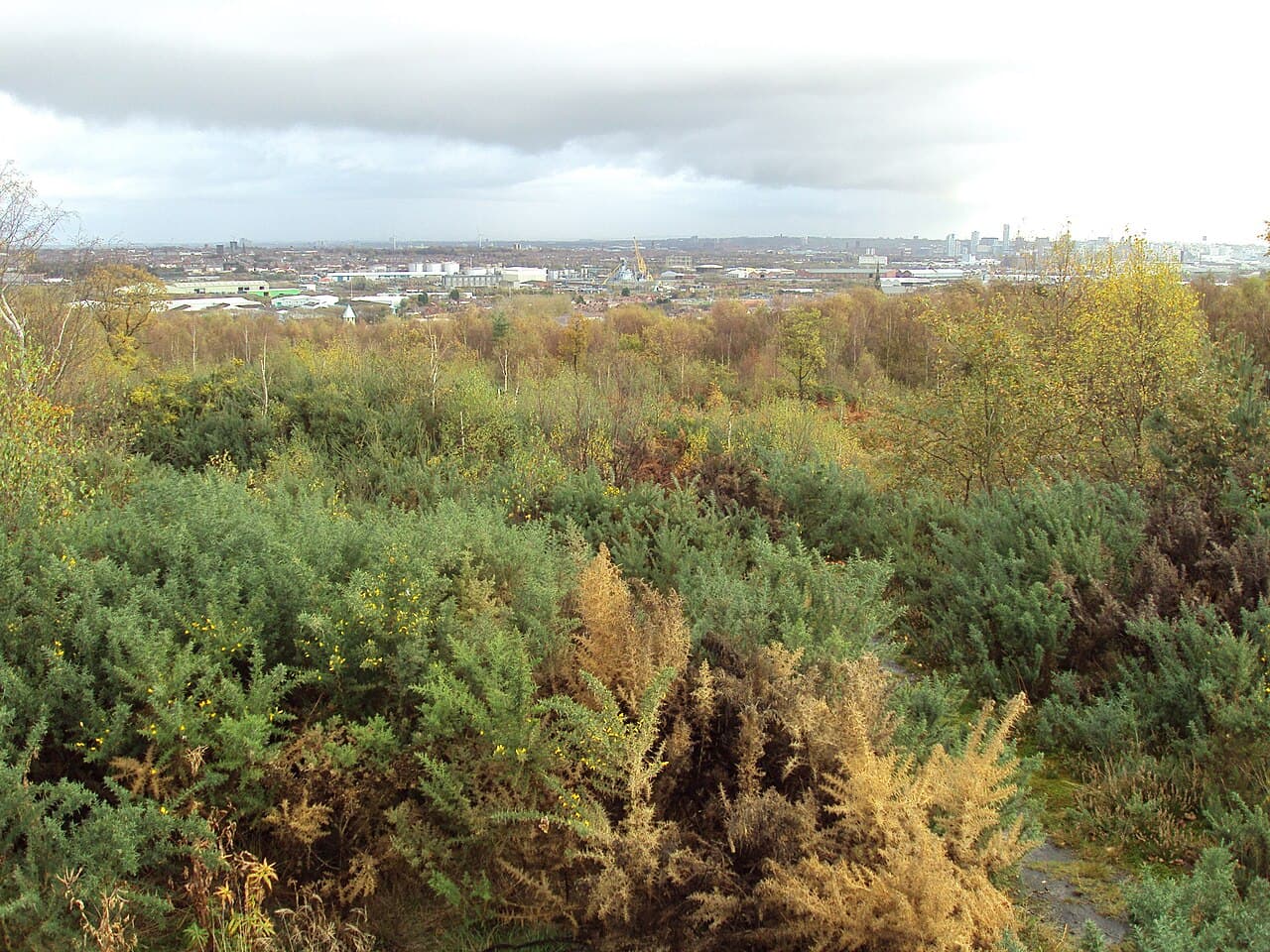 Bidston Hill - Main view