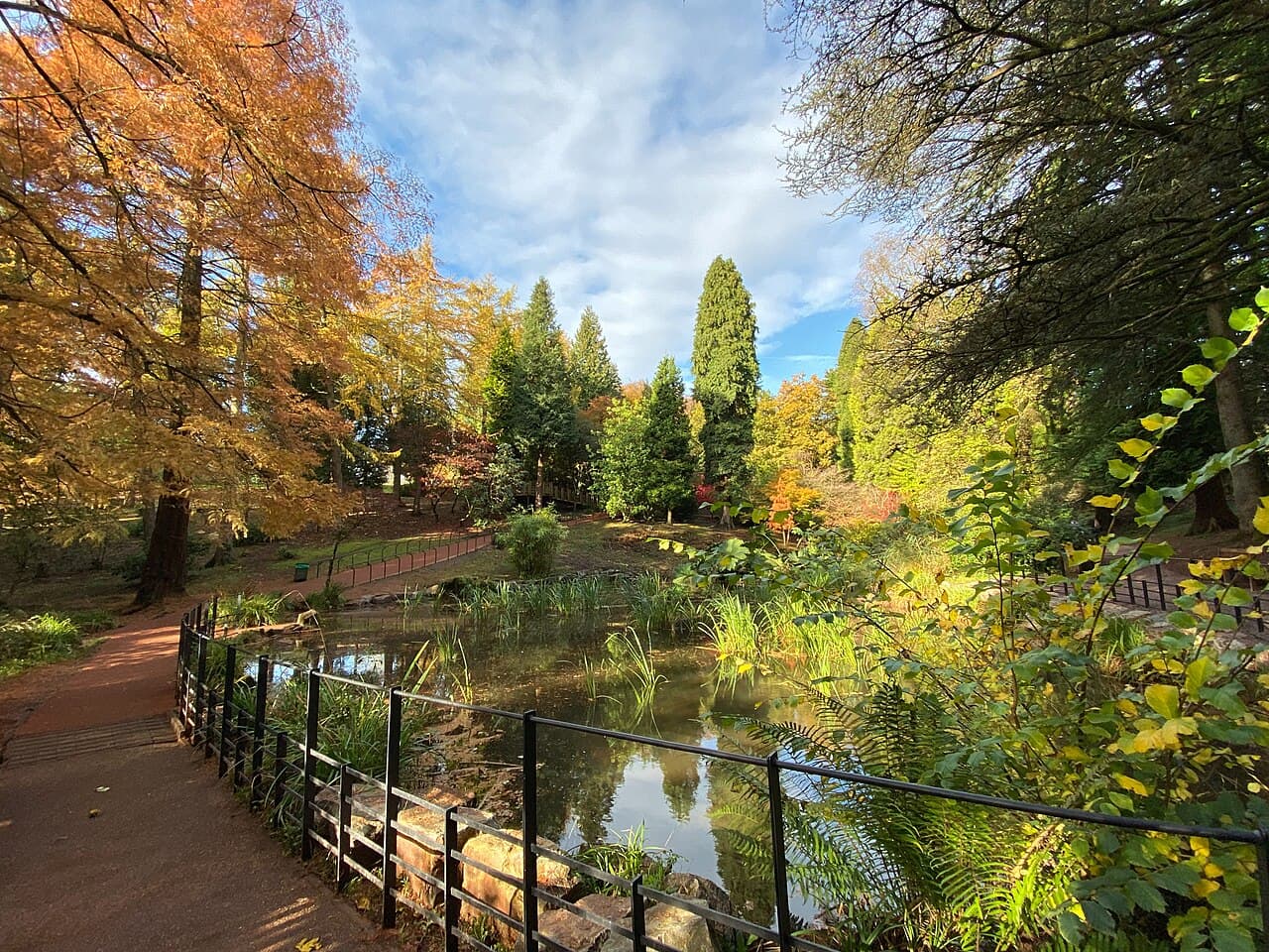 Parc Cefn Onn - Main view