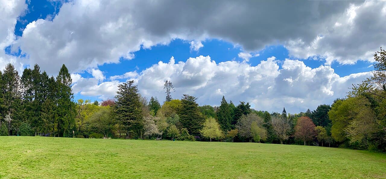 Parc Cefn Onn - Image 2