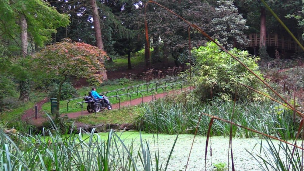 Parc Cefn Onn - Image 3
