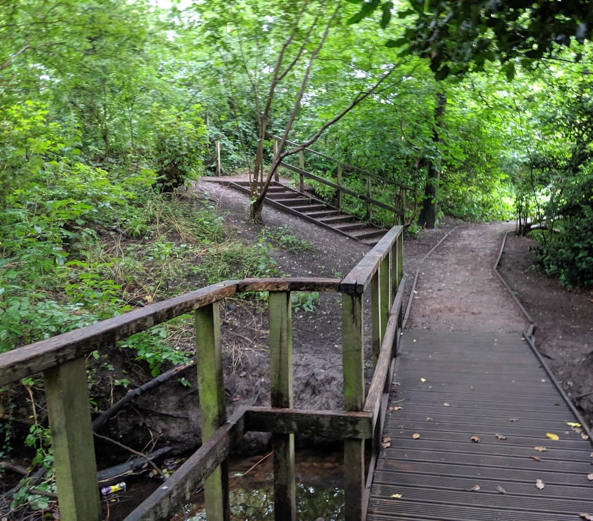 Moseley Bog - Main view