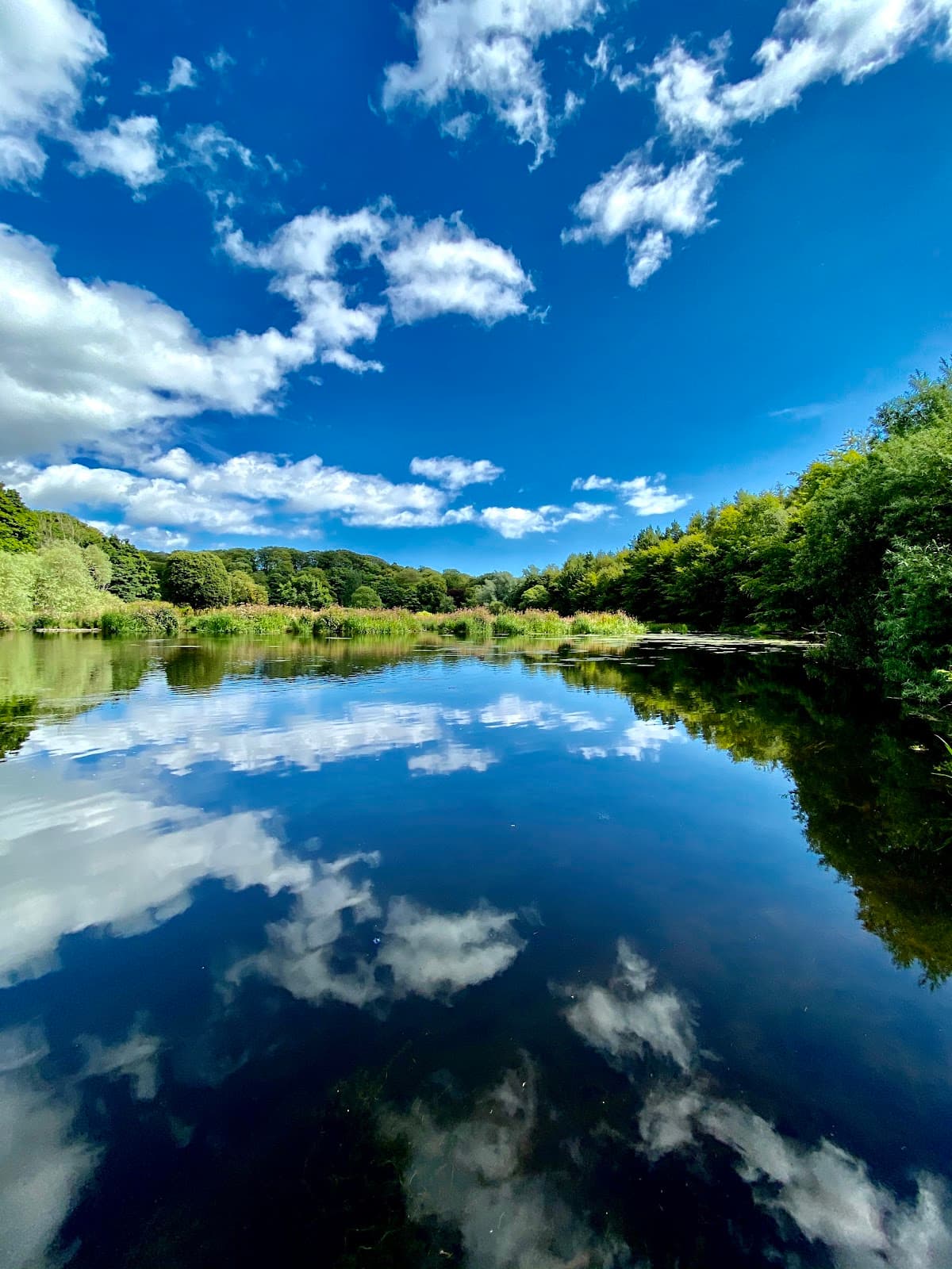 Seaton Park - Main view