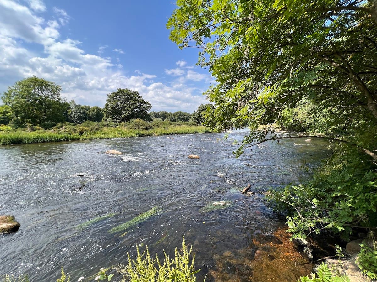 Seaton Park - Image 2