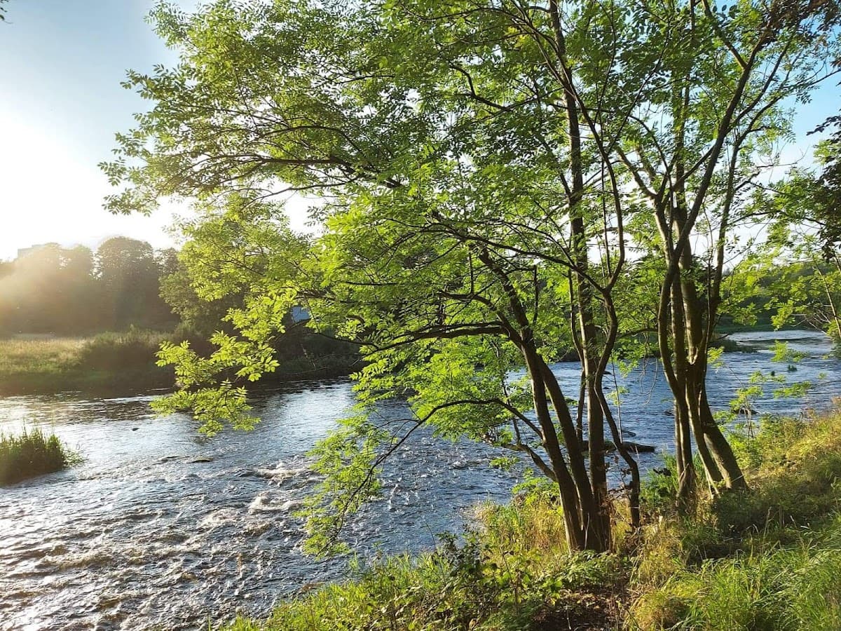Seaton Park - Image 3