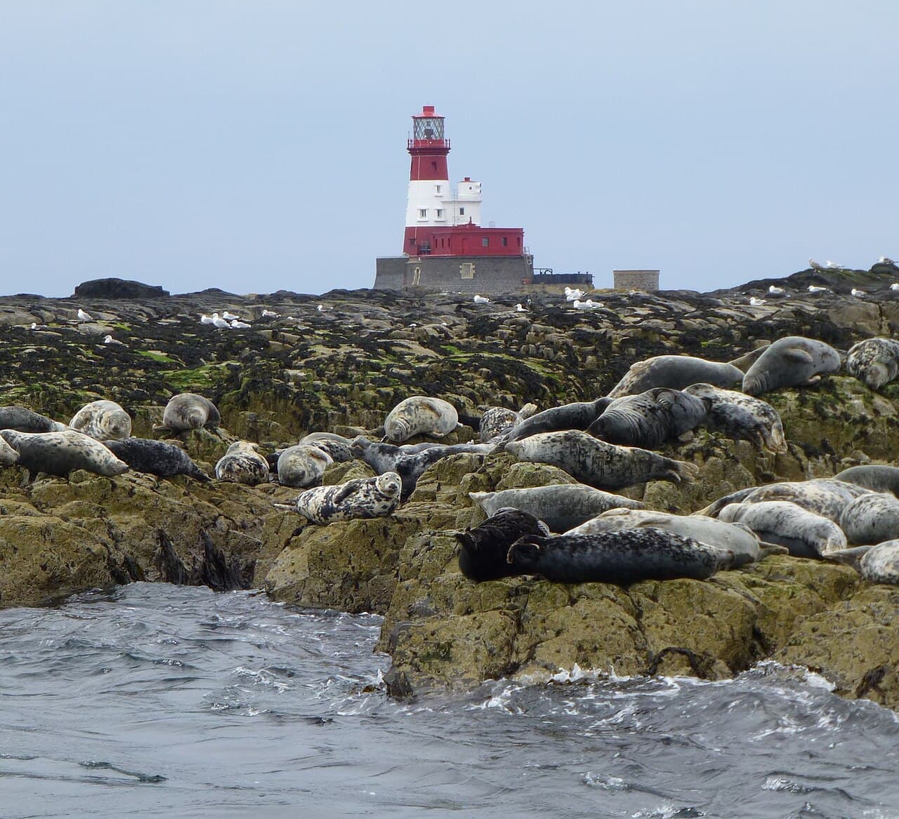 Longstone Lighthouse - Main view