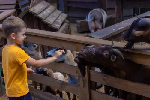 Top Barn Farm Shop - Image 4