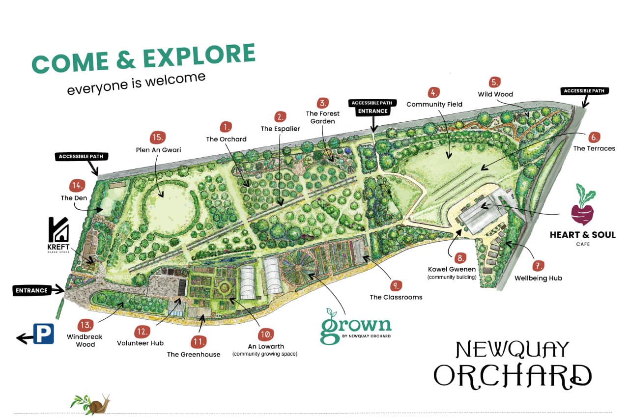 Newquay Orchard - Image 2