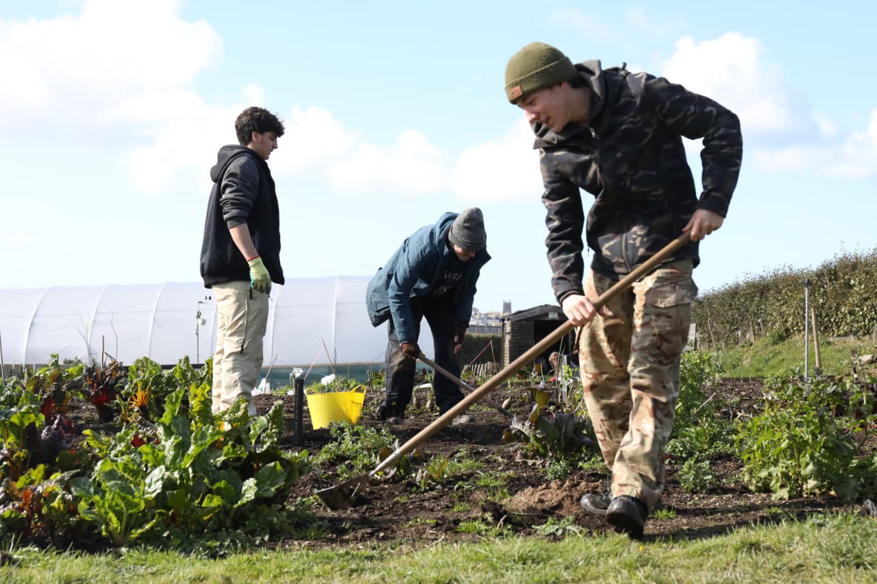 Newquay Orchard - Image 3