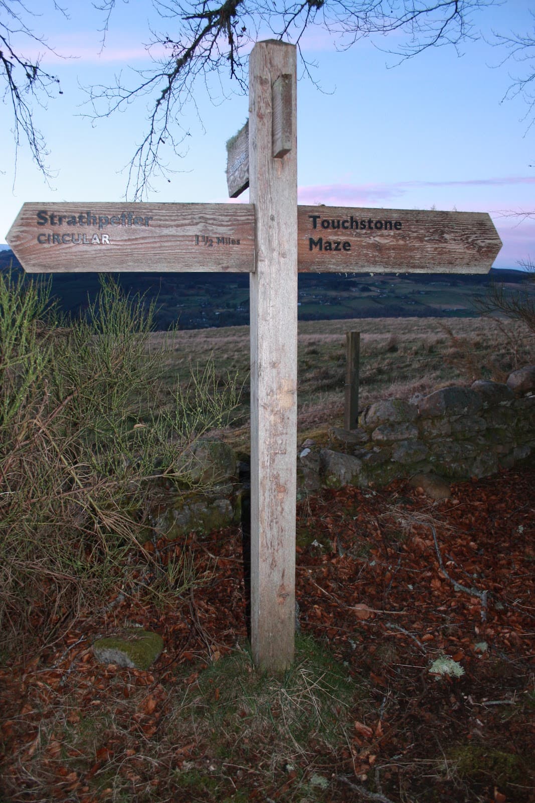 Touchstone Maze ( Parking at Blackmuir woods ) - Image 4