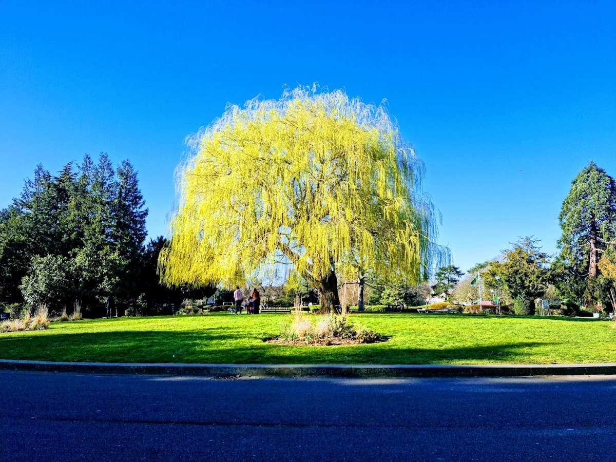 Central Park - Image 2