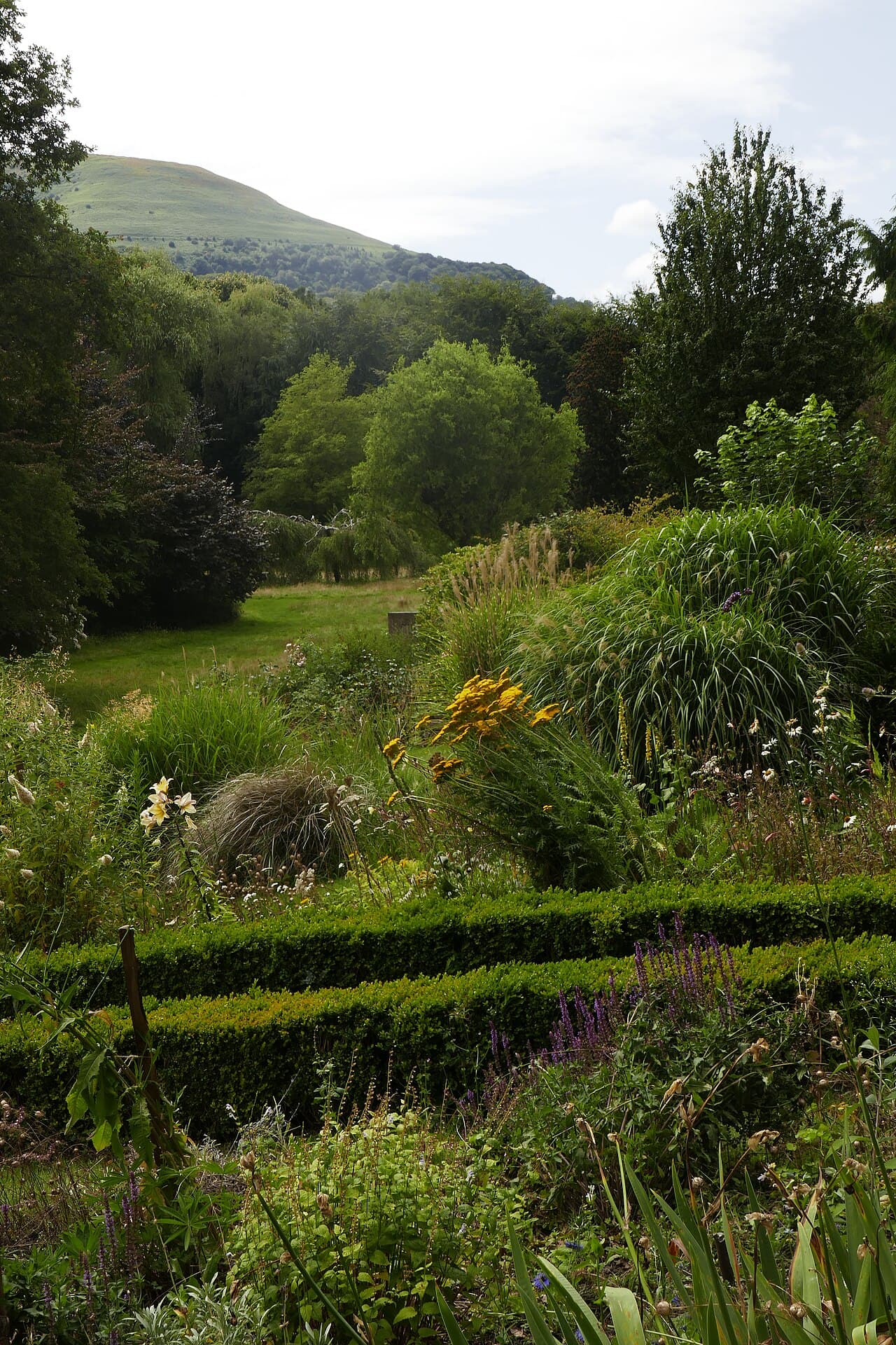Linda Vista Gardens - Main view