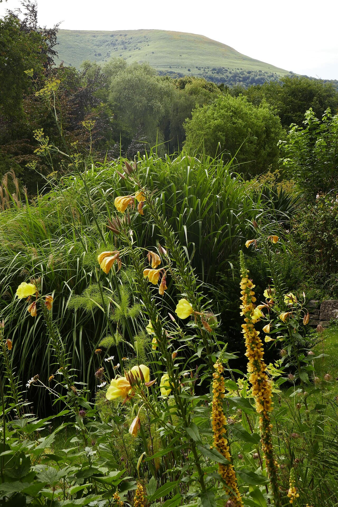 Linda Vista Gardens - Image 3