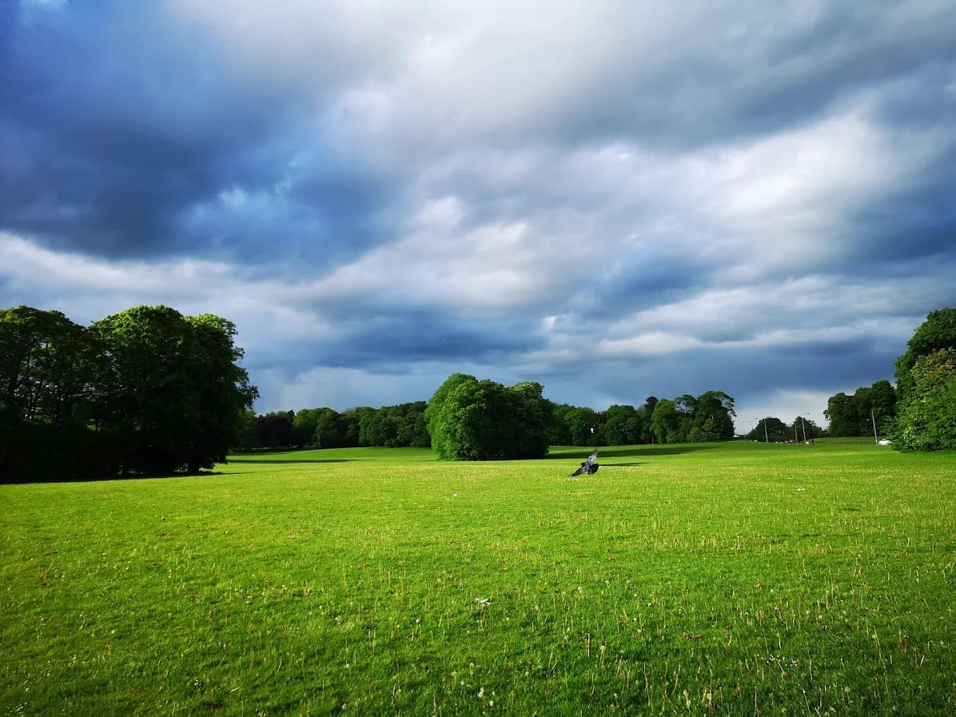 Almondvale Park - Image 2