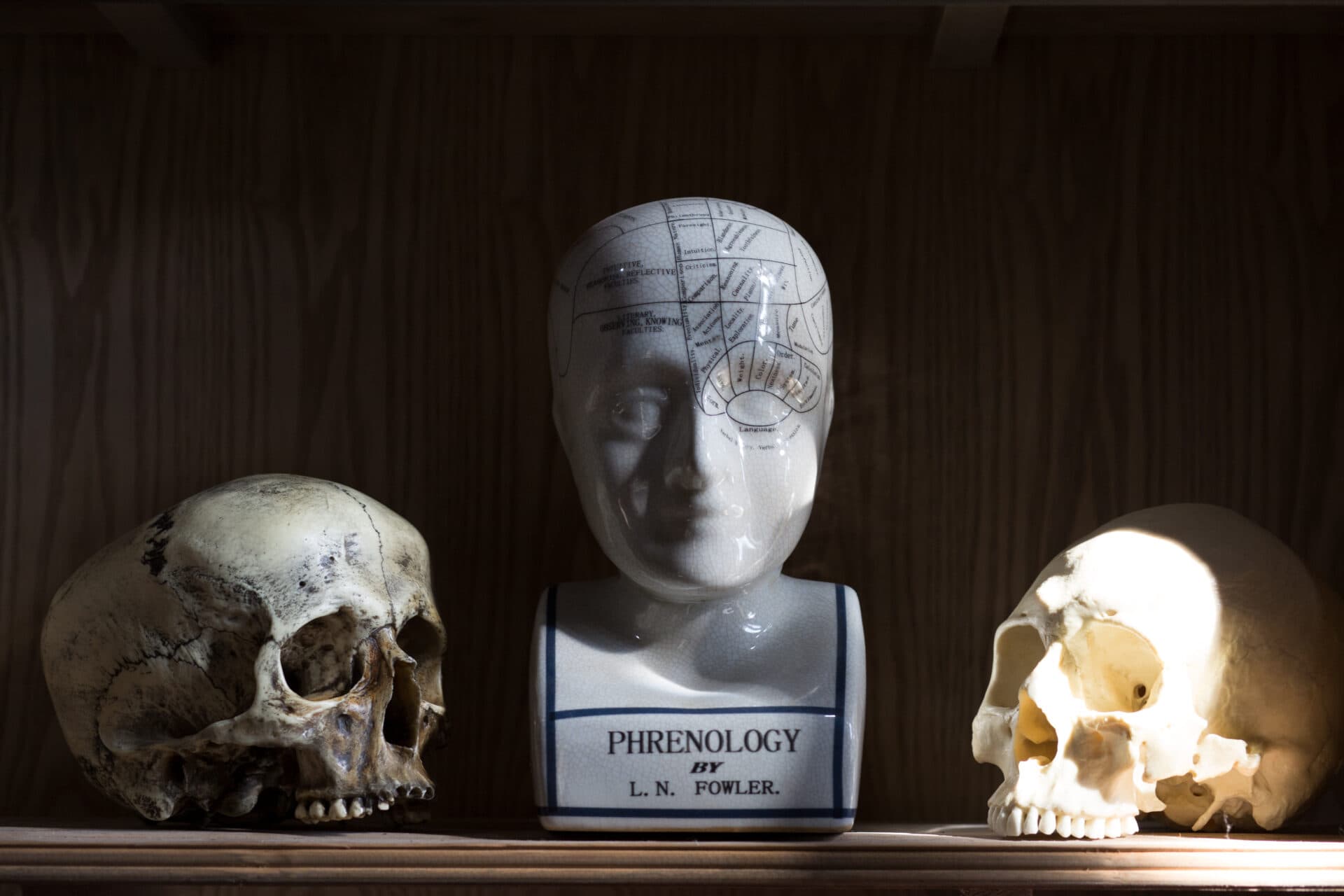 Sick To Death - Image 5