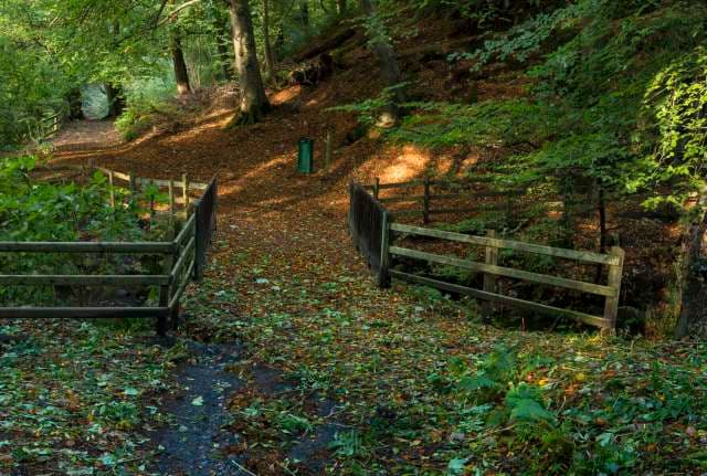 Crawfordsburn Country Park - Image 2