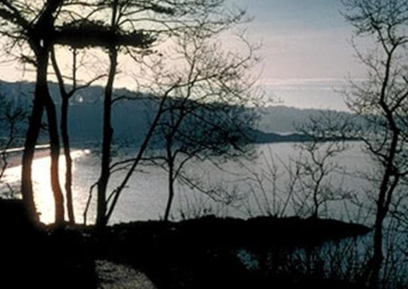 Crawfordsburn Country Park - Image 3