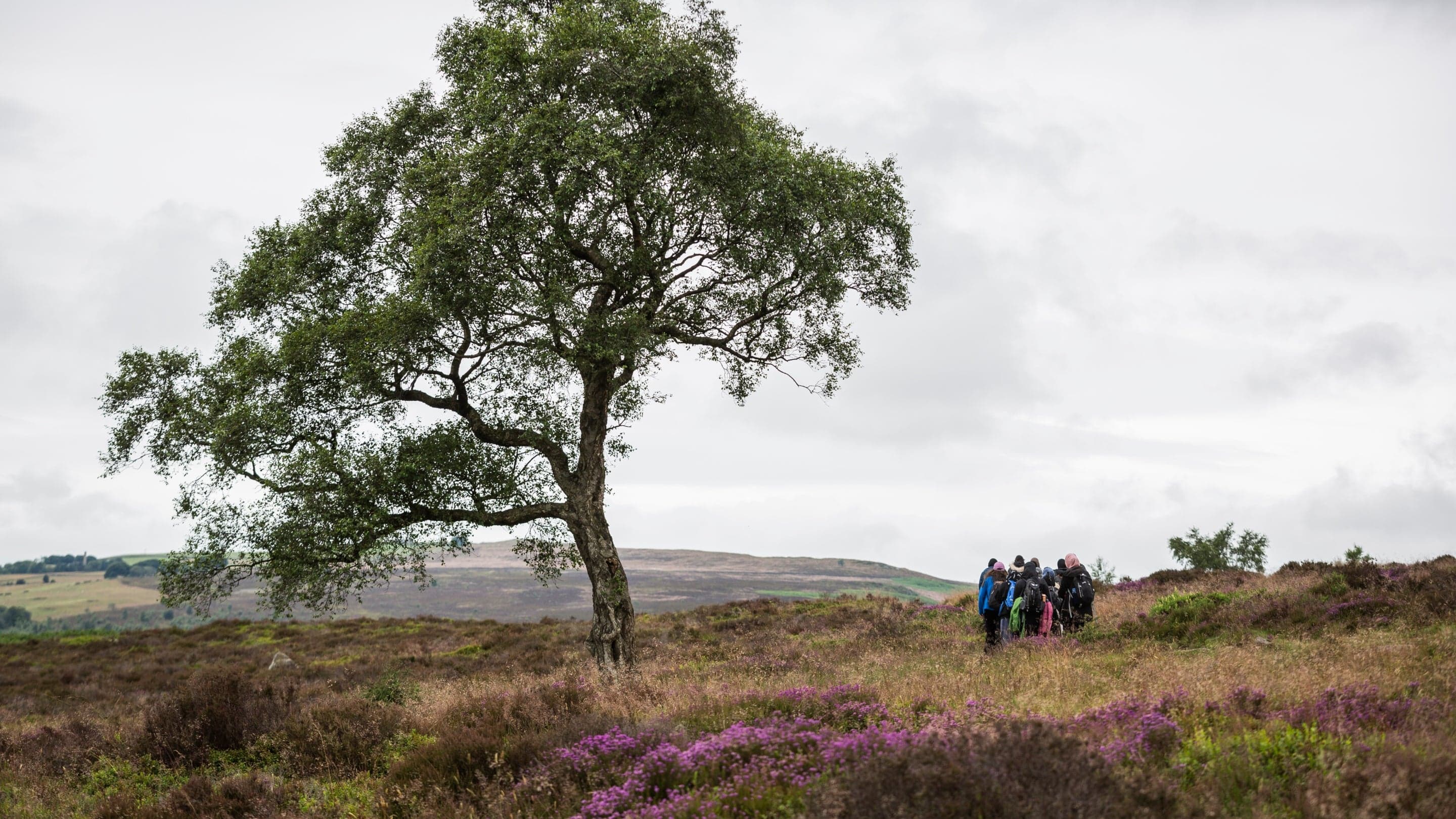 National Trust - Longshaw - Main view