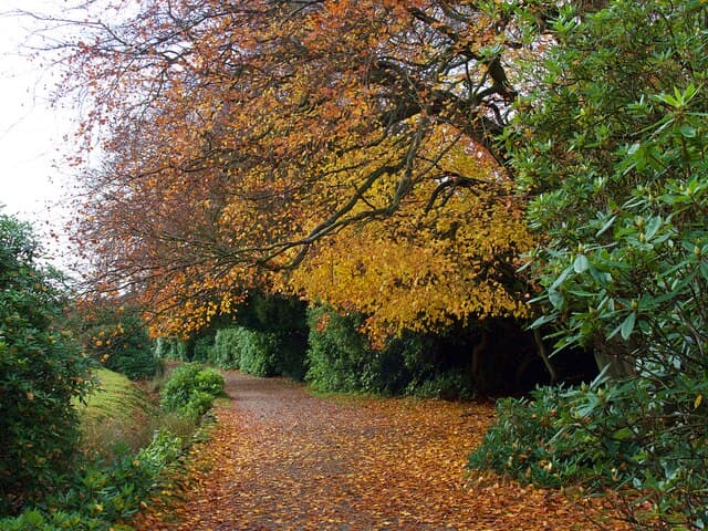 National Trust - Longshaw - Image 5