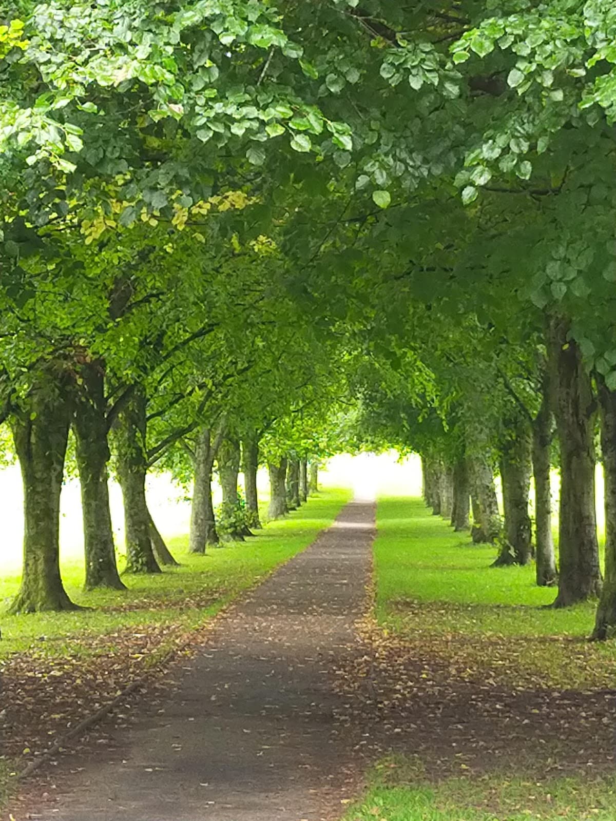Eglinton Country Park - Image 3
