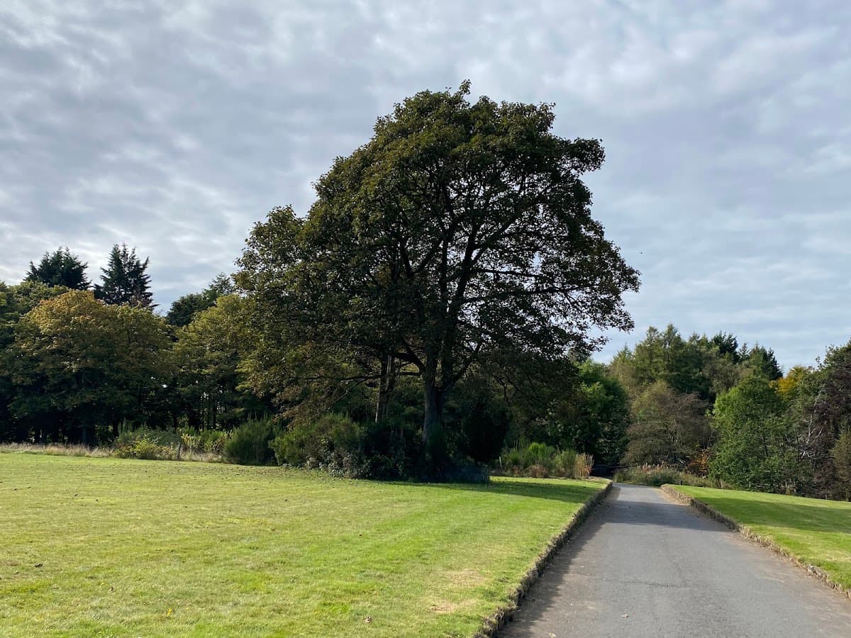 Eglinton Country Park - Image 5