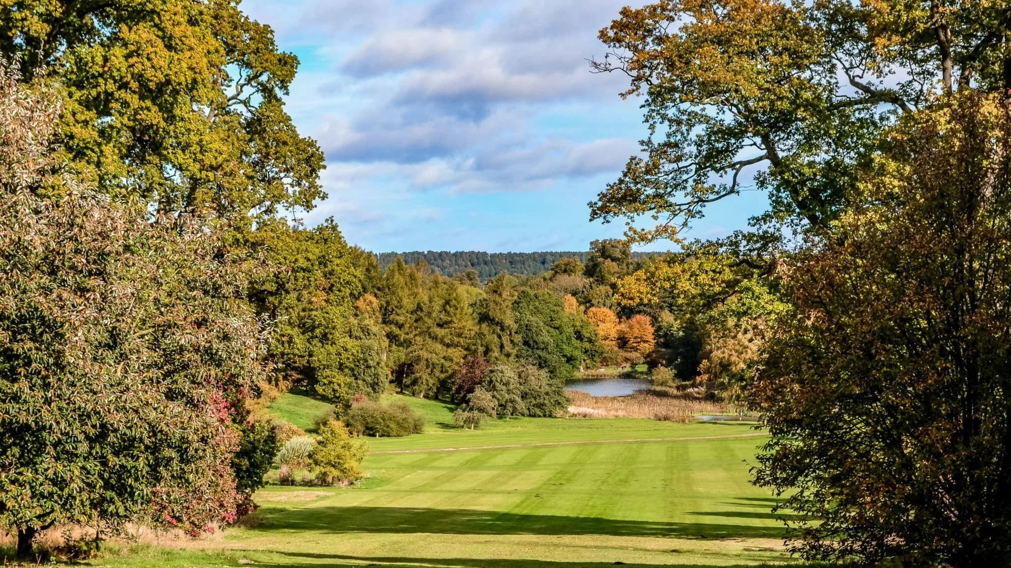 Castle Howard Arboretum - Image 2