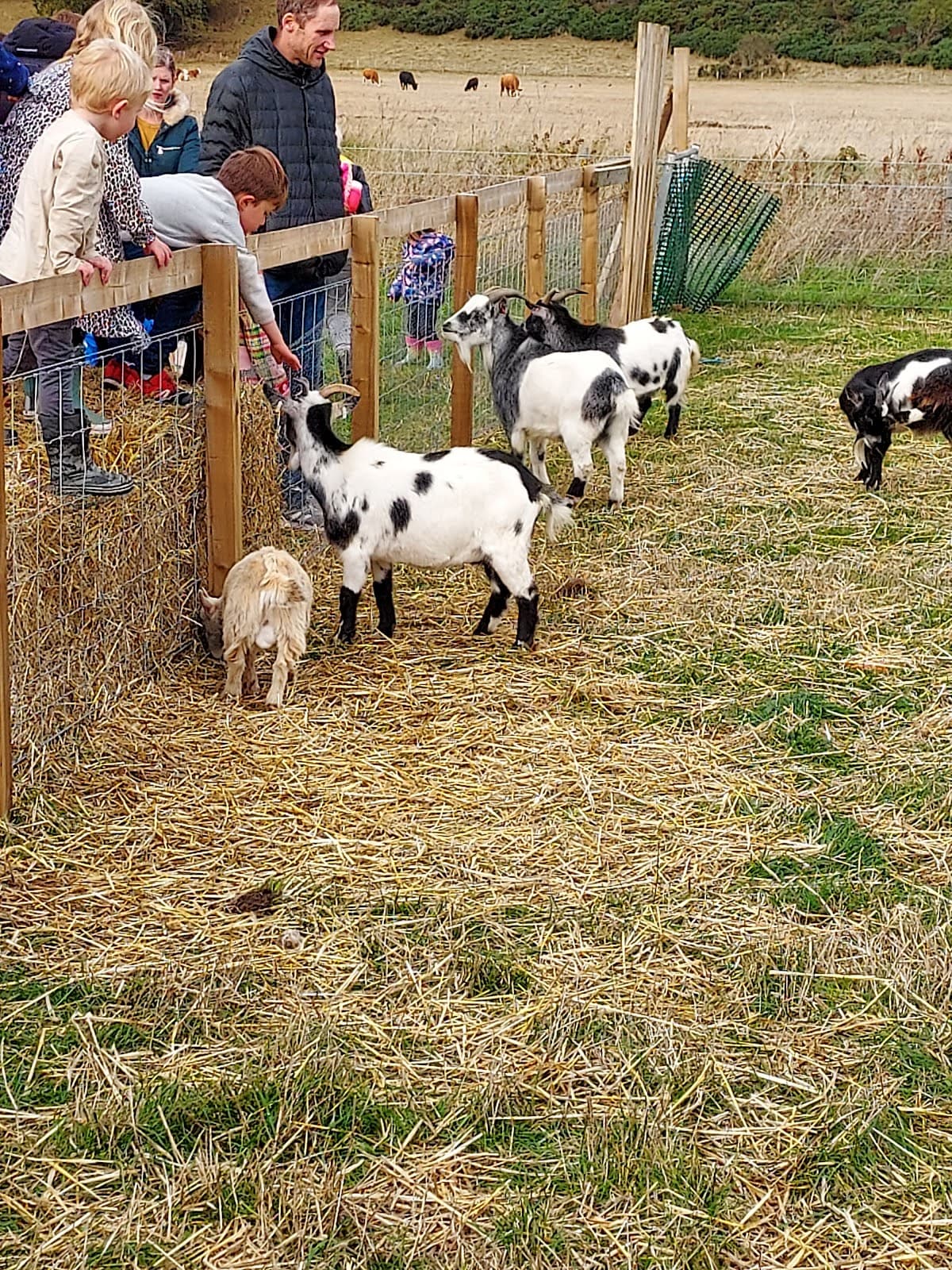 Farm Ness - Image 5