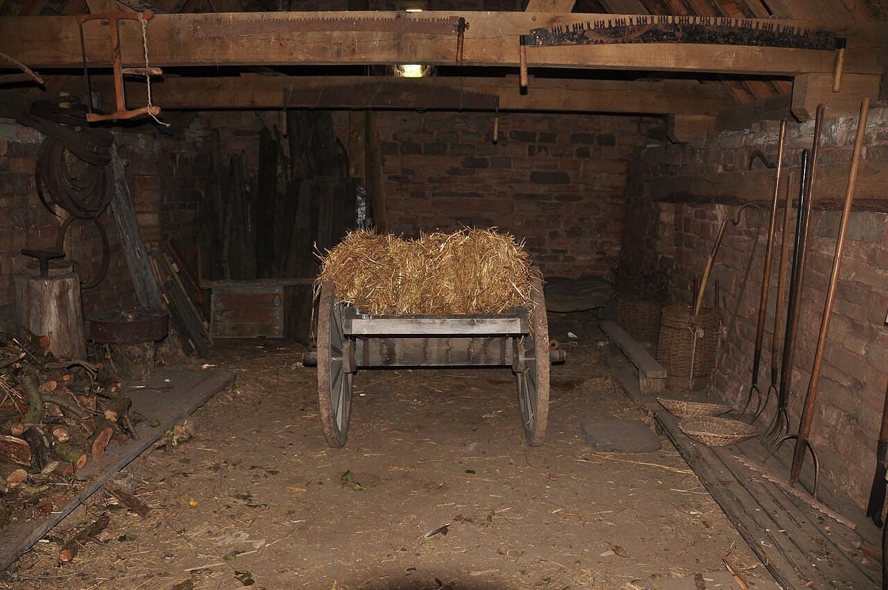 Cosmeston Lakes Country Park & Medieval Village - Image 2