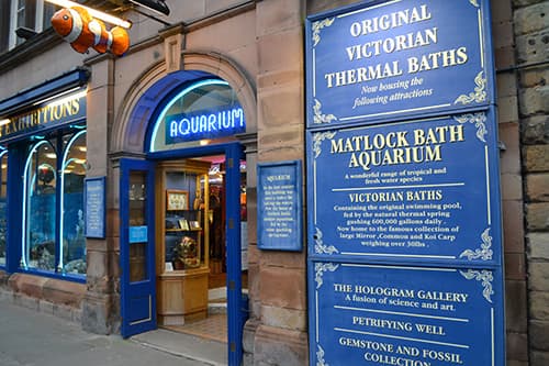 Matlock Bath Aquarium and arcade - Image 2