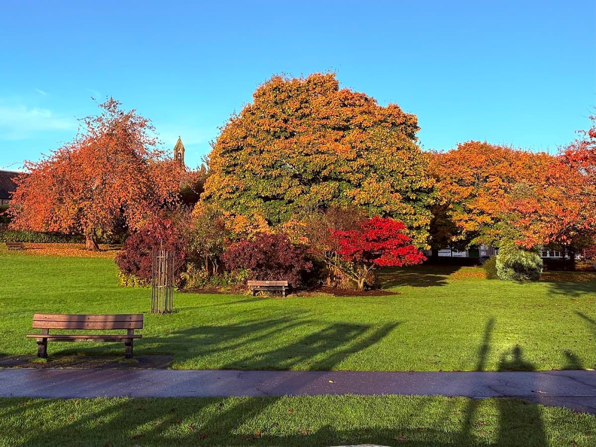 King's Park - Image 2