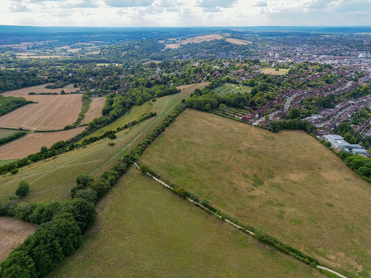 Pewley Down - Image 1