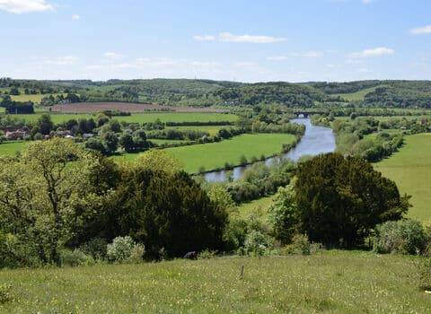 Moor Copse Nature Reserve - Image 3