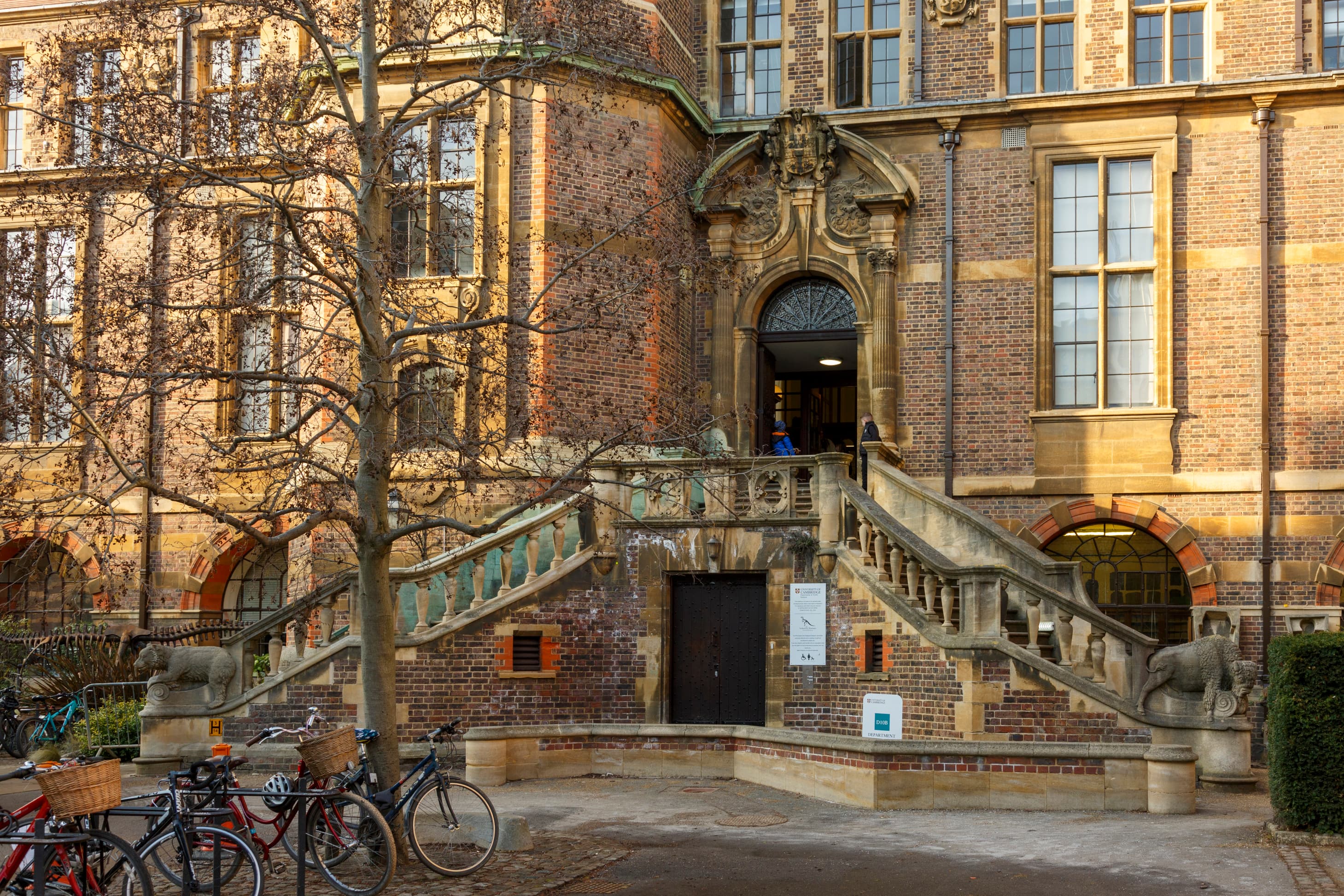 Sedgwick Museum of Earth Sciences - Main view