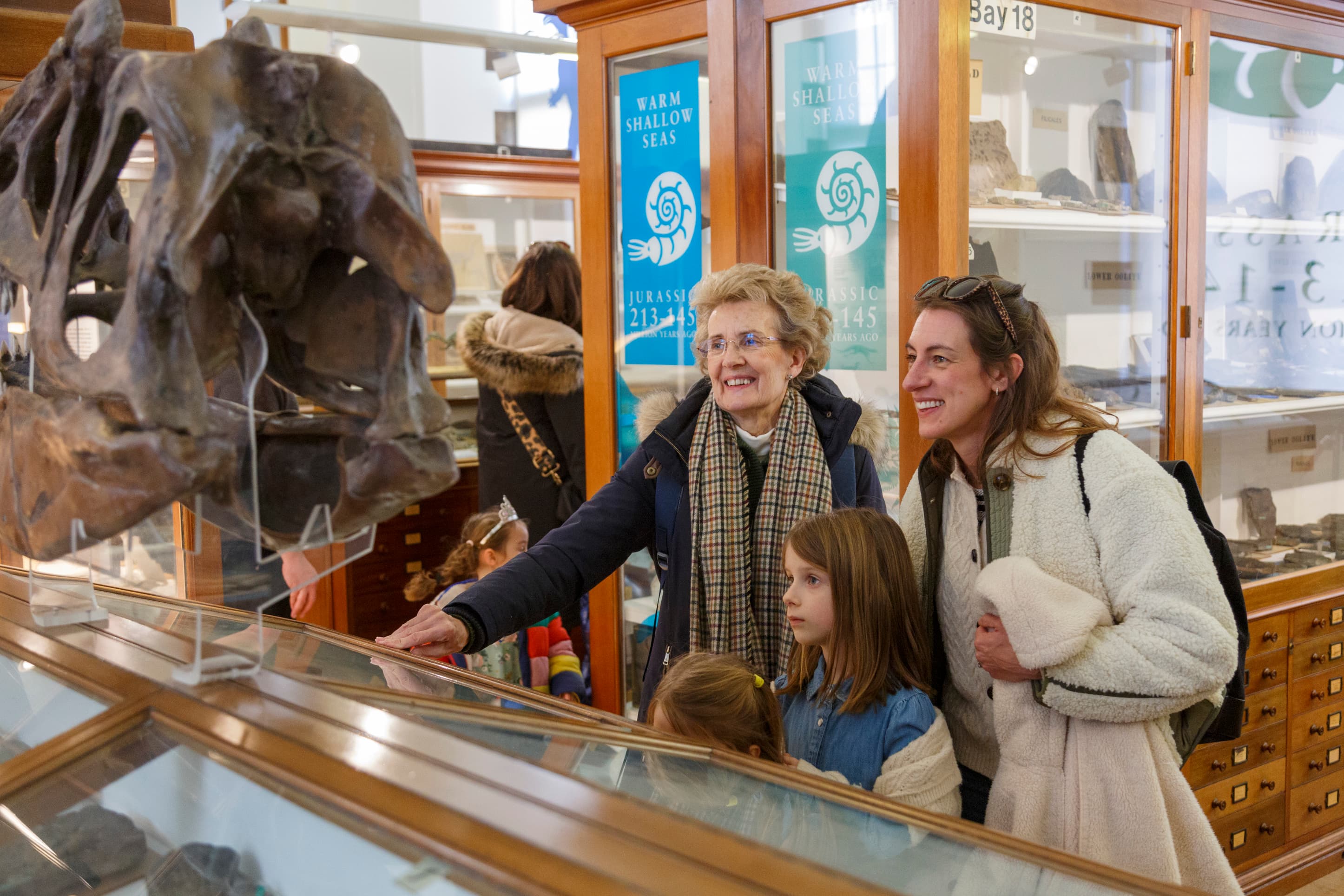 Sedgwick Museum of Earth Sciences - Image 2