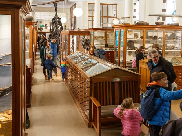 Sedgwick Museum of Earth Sciences - Image 4