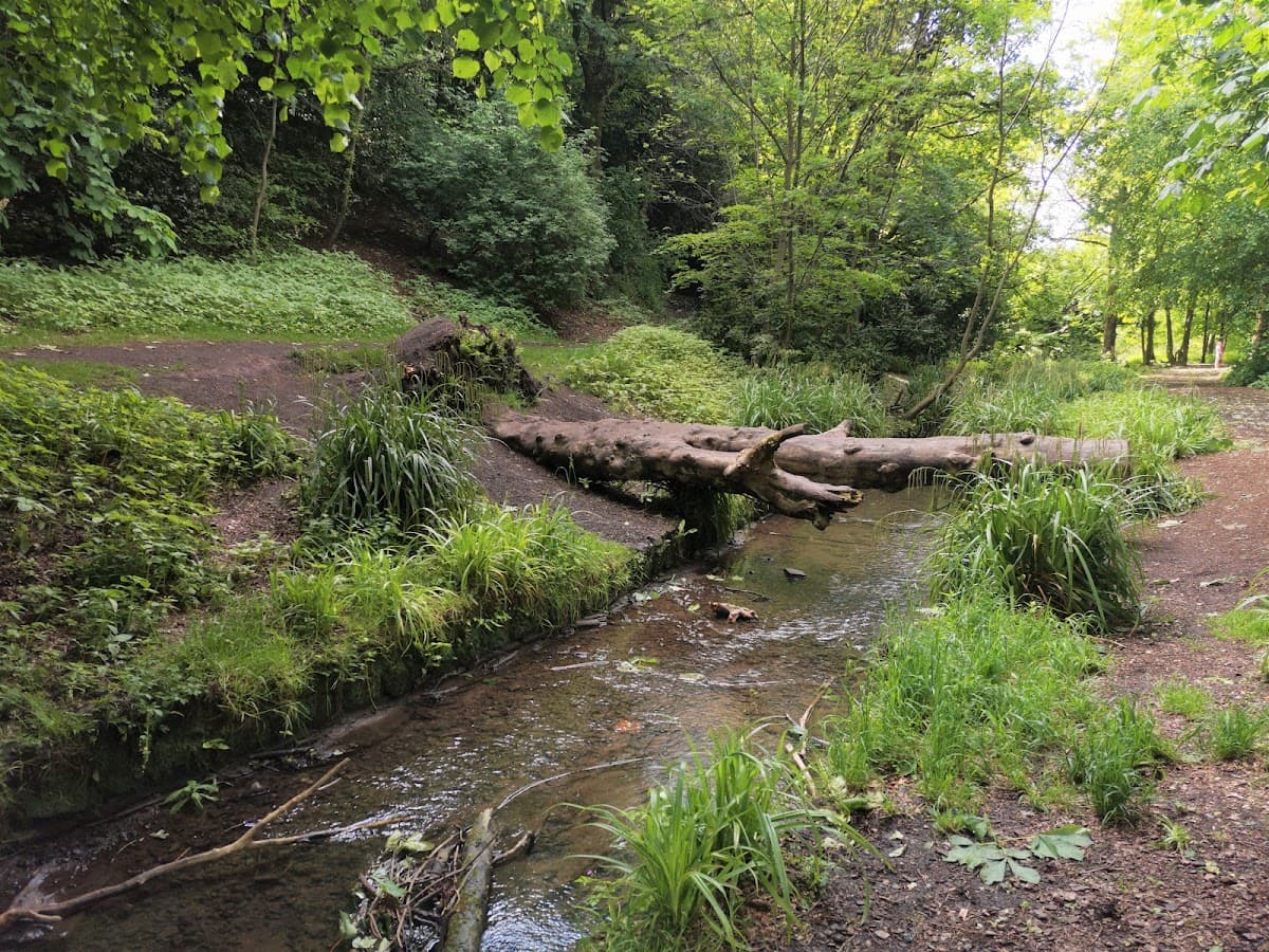 Tollcross Park - Image 5