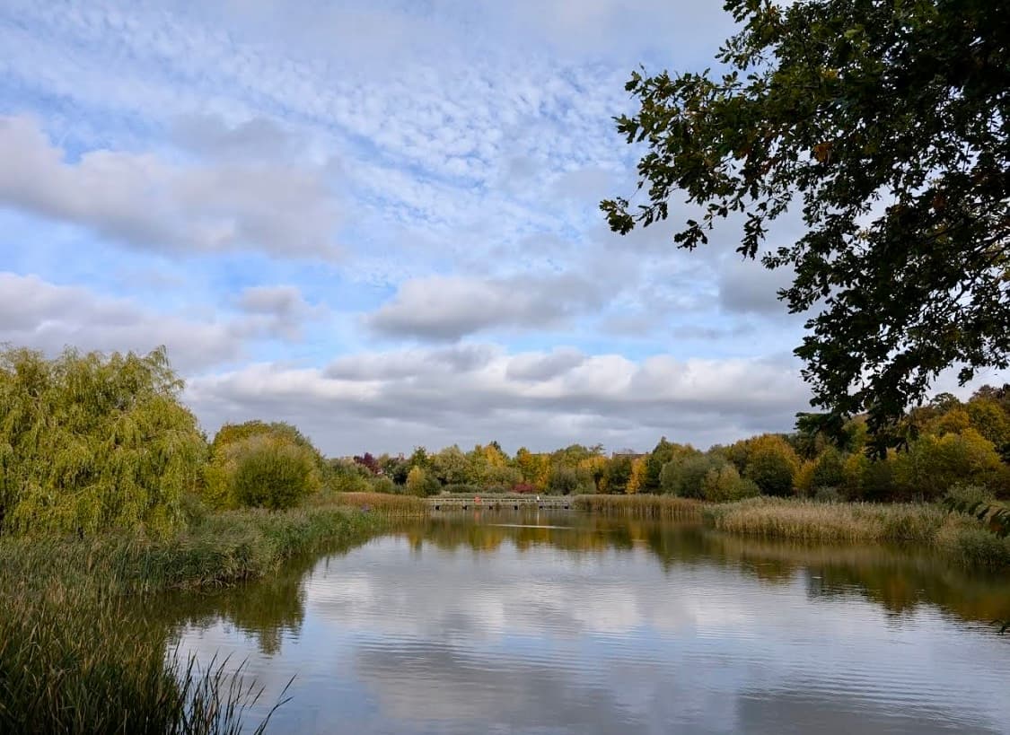 Southern Country Park - Image 2